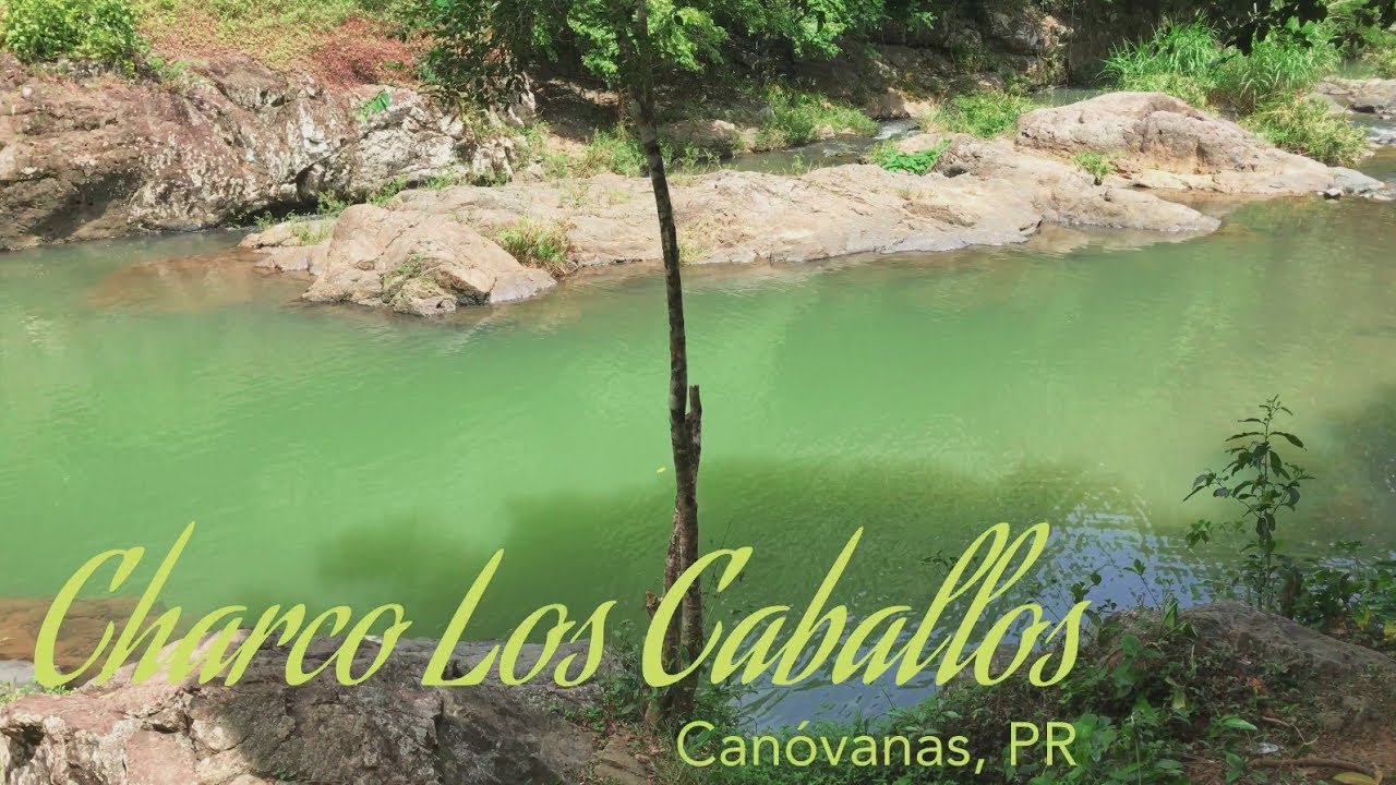 CHARCO LOS CABALLOS (Can&oacute;vanas, PR) Rios Puerto Rico / Living in Puerto Rico