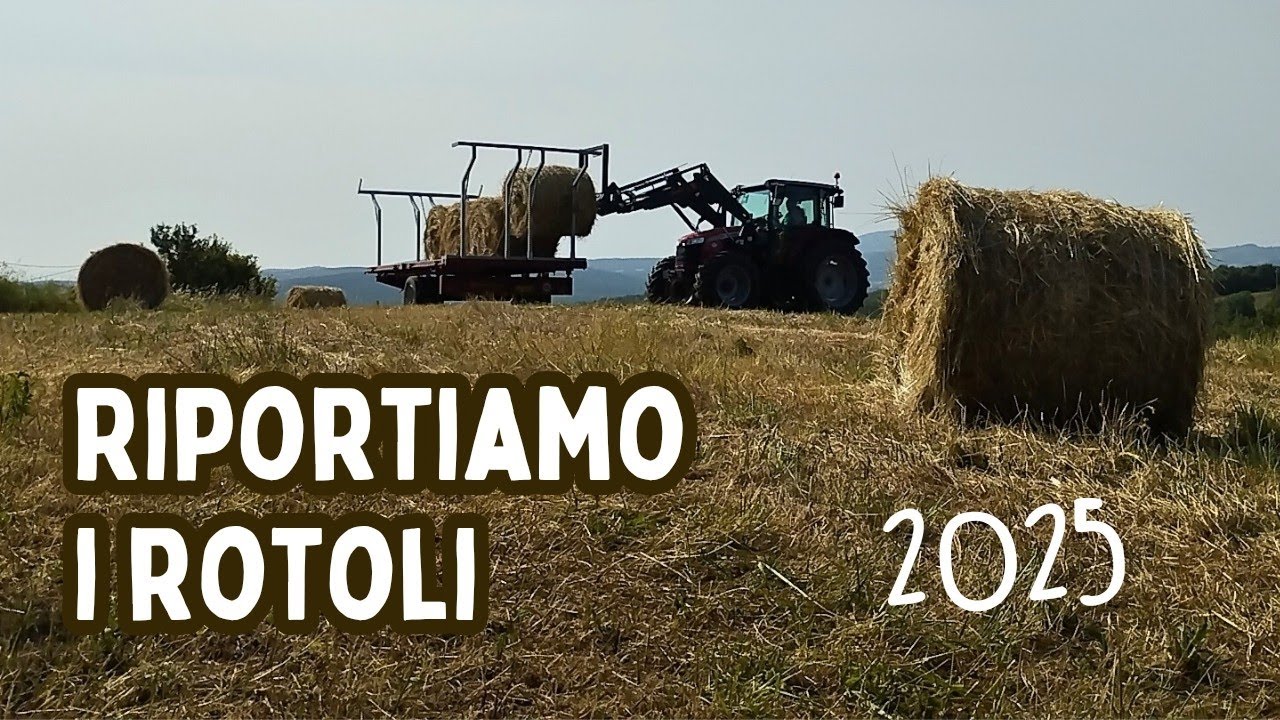 Riportiamo i rotoli a casa 