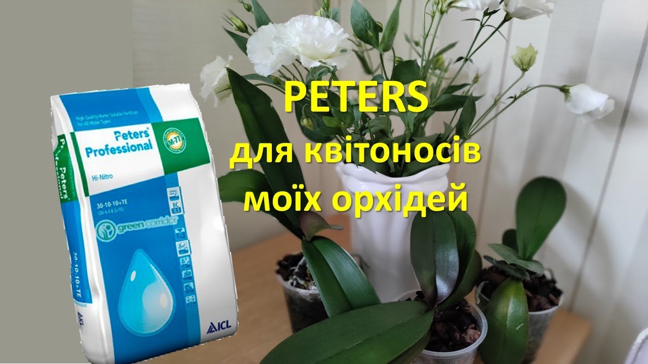 🌟PETERS🌟 для квітоносів  моїх орхідей