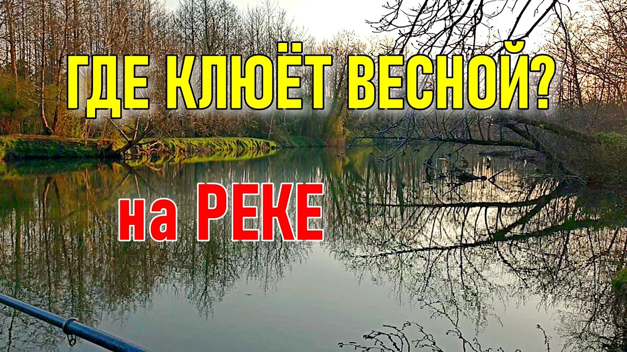 Весенняя рыбалка в Кобулети 🎣 Река Чолоки | В поисках клёвых мест и первый улов!