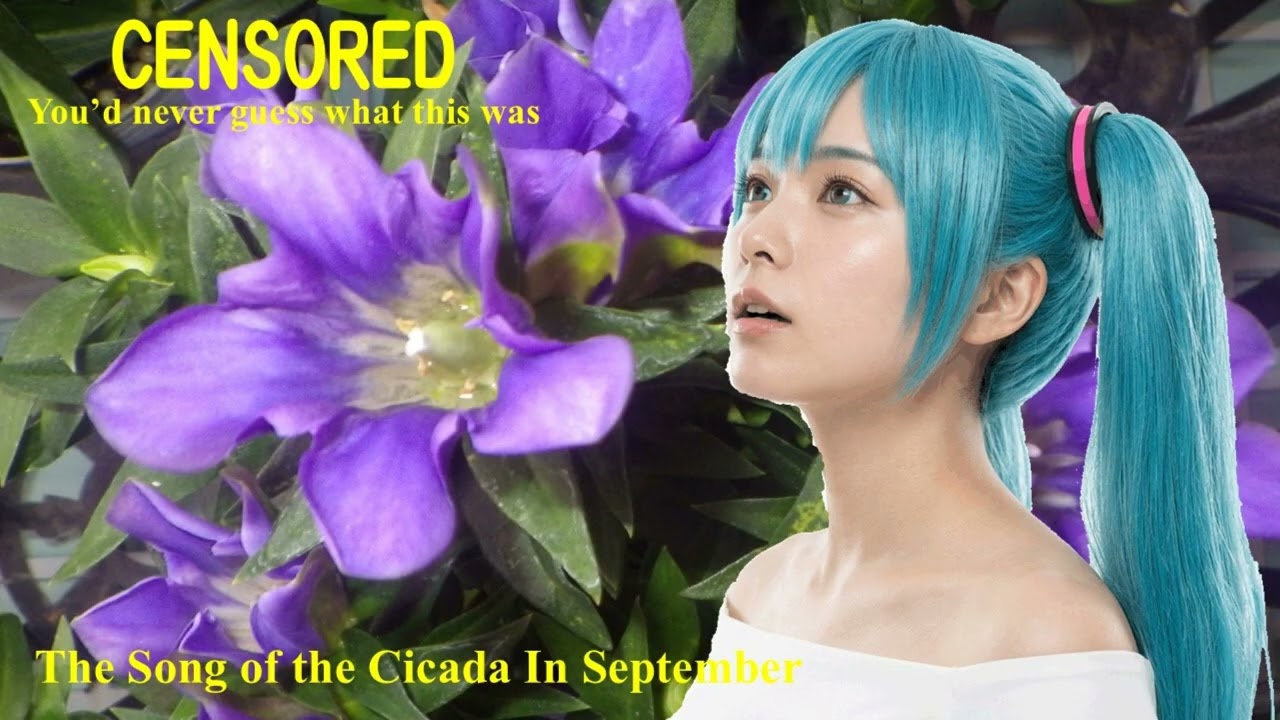 【#Hatsune_Miku (Alto)】9月の蝉しぐれ 1991（松任谷由実）【#Vocaloid6 】The Song of the Cicada In September； #初音ミク（低音）