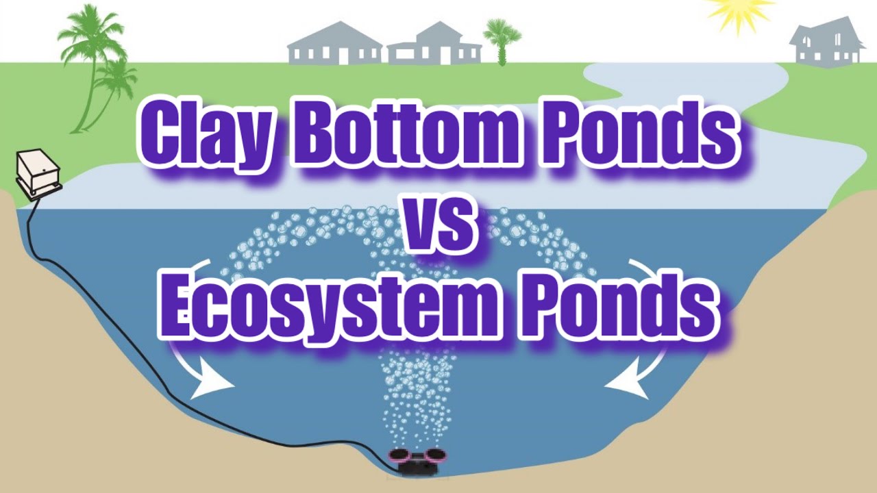 How we treat a clay bottom pond