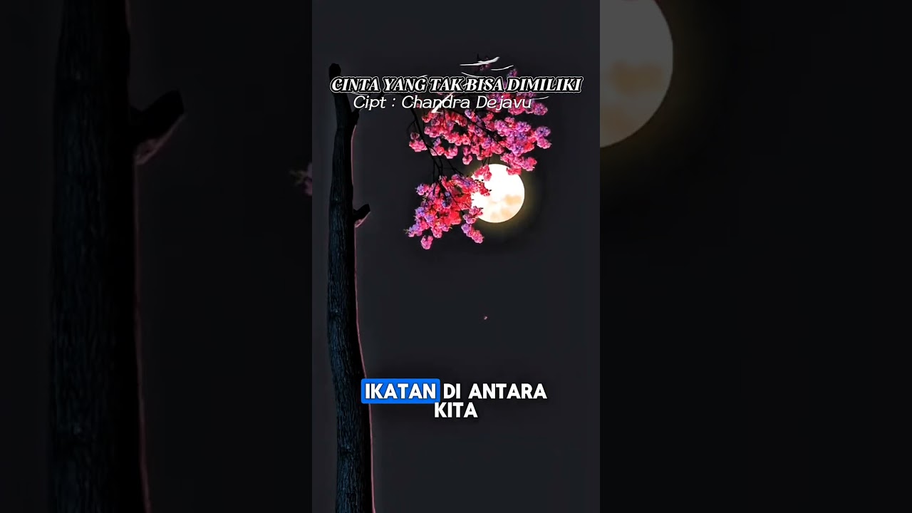 CINTA YANG TAK BISA DIMILIKI|CHANDRA DEJAVU