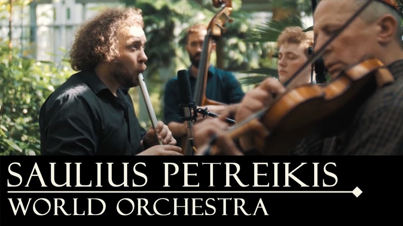 Saulius Petreikis - Spring Birds