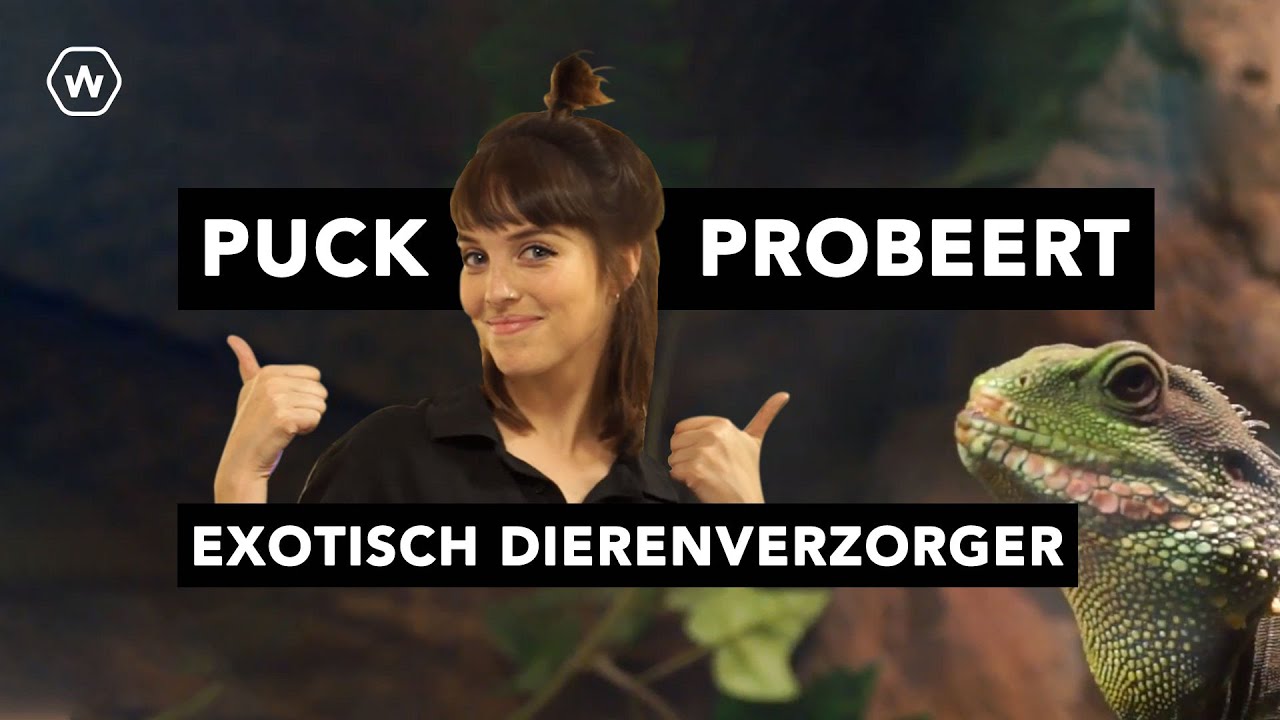 Puck Probeert - Aflevering 1 - Exotisch Dierenverzorgen