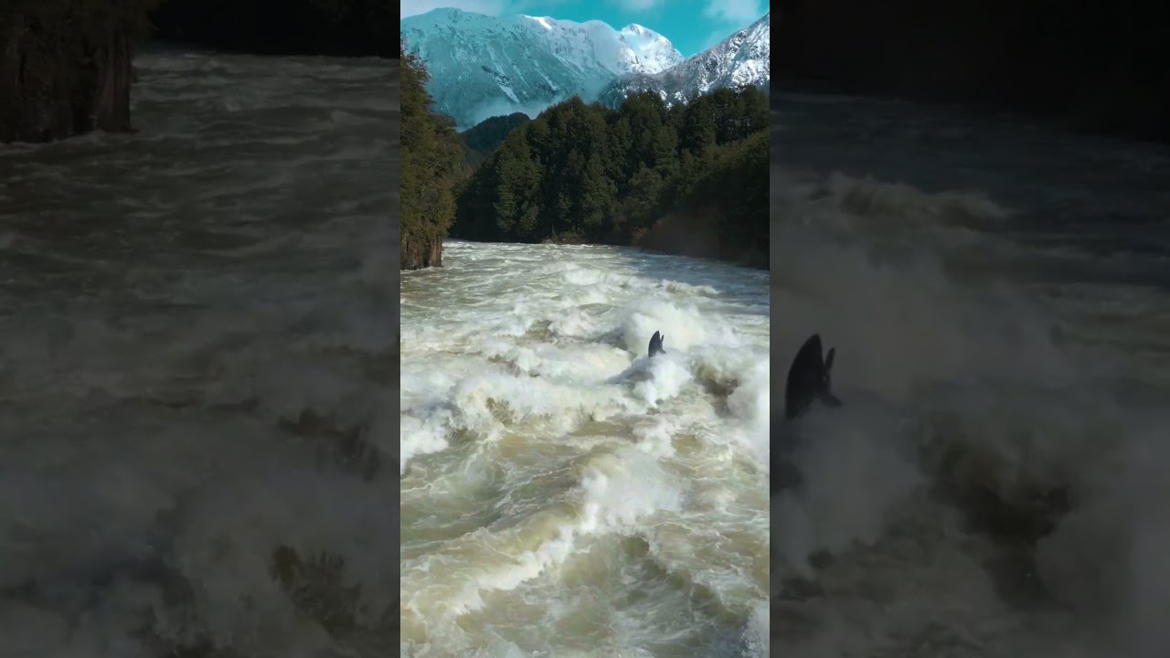 Aniol runs terminator at King flows  #wakakayaks #steeze  #whitewater #kayaking