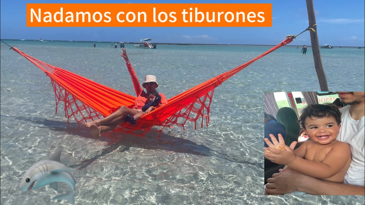 UN PARAISO // NADAMOS CON LOS 🦈 TIBURONES, CONOCEMOS MARAGOGI.