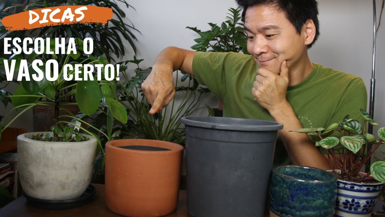 Aprenda a escolher o VASO CERTO: Barro, cimento, plástico....