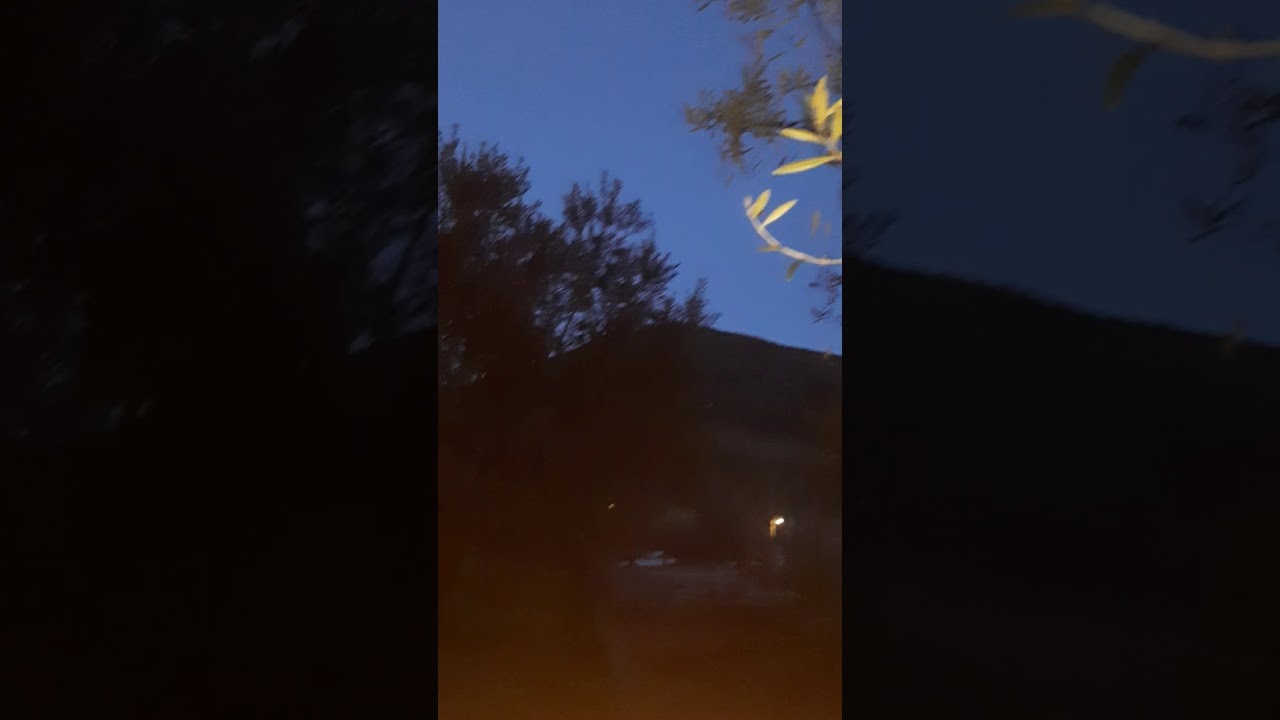 Τσακάλια στον ποταμό Ευρώτα