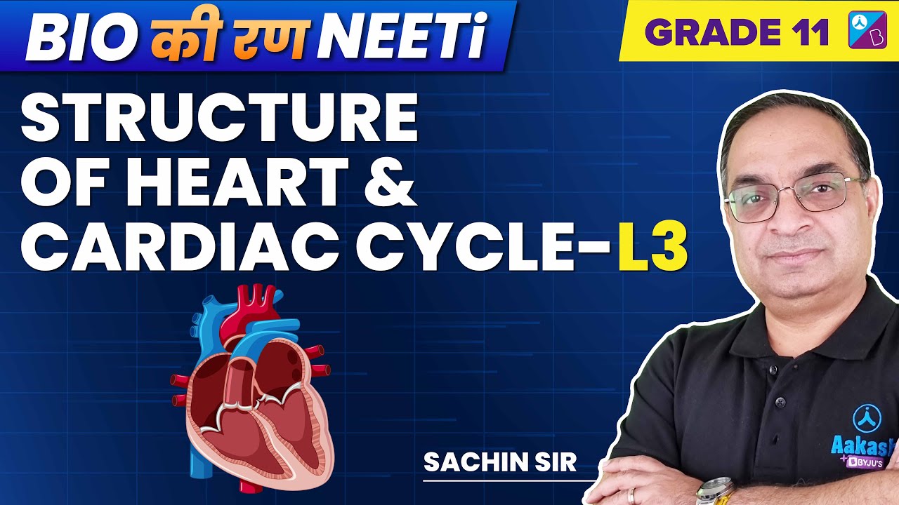 Structure of Heart & Cardiac Cycle - Body Fluids & Circulation Class 11 Bio | NEET 2023 | Sachin Sir