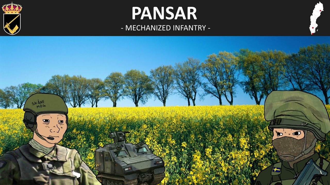 swedish conscripts be like.