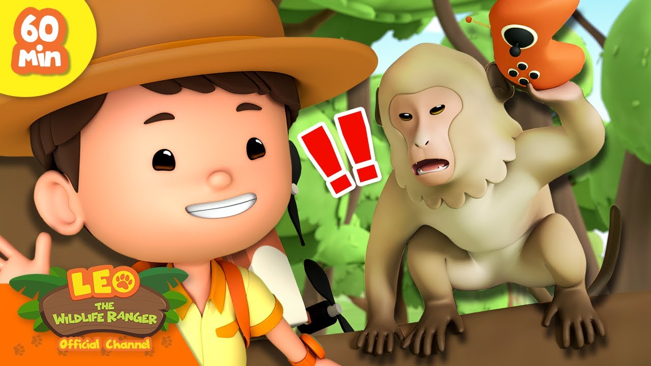 WHICH IS THE MISCHIEVOUS MONKEY?! 😆 | Primates 🐒🦍 | Leo the Wildlife Ranger | Kids Cartoons
