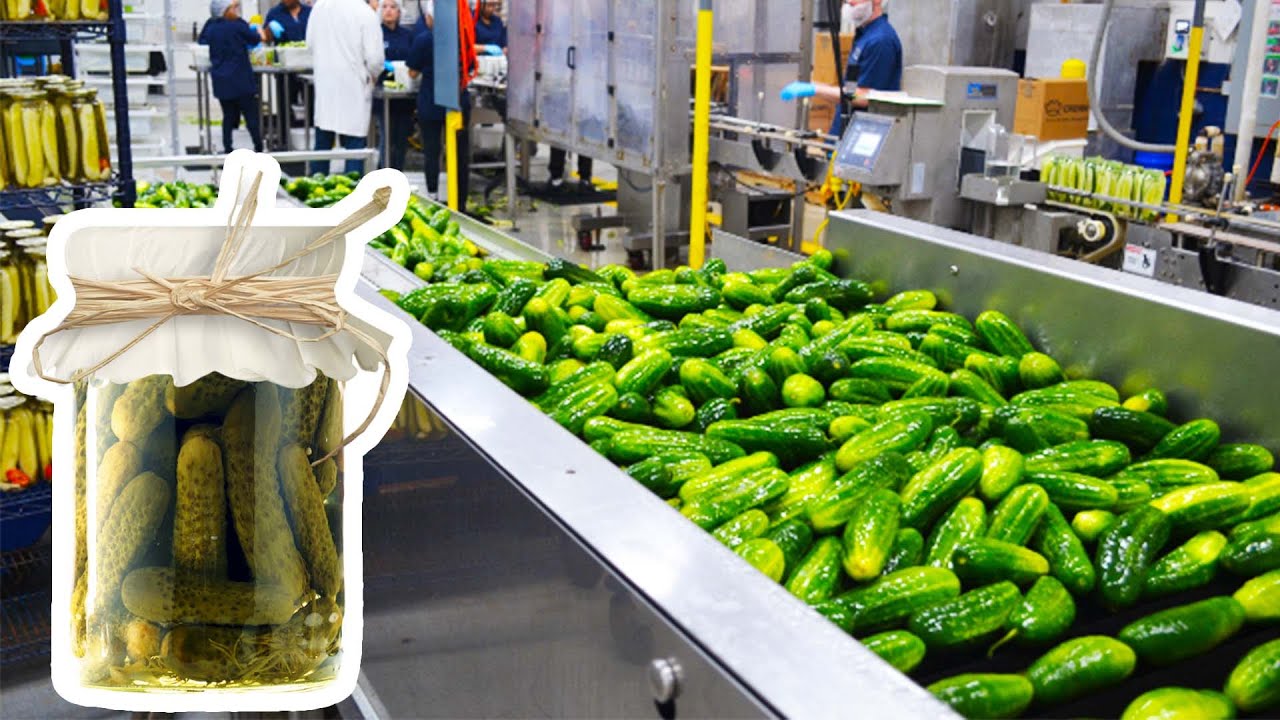 How Pickles Are Made In Factory -  How It's Made Pickles