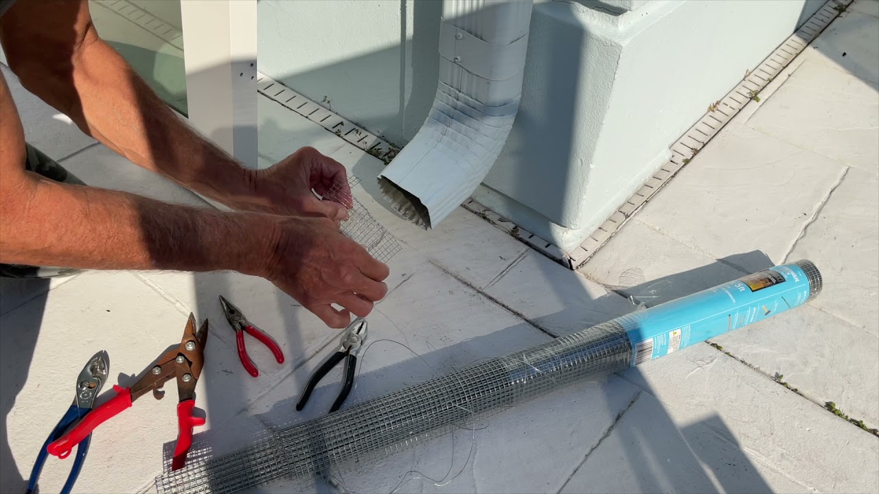 How to Block Drain Spouts from Rodents