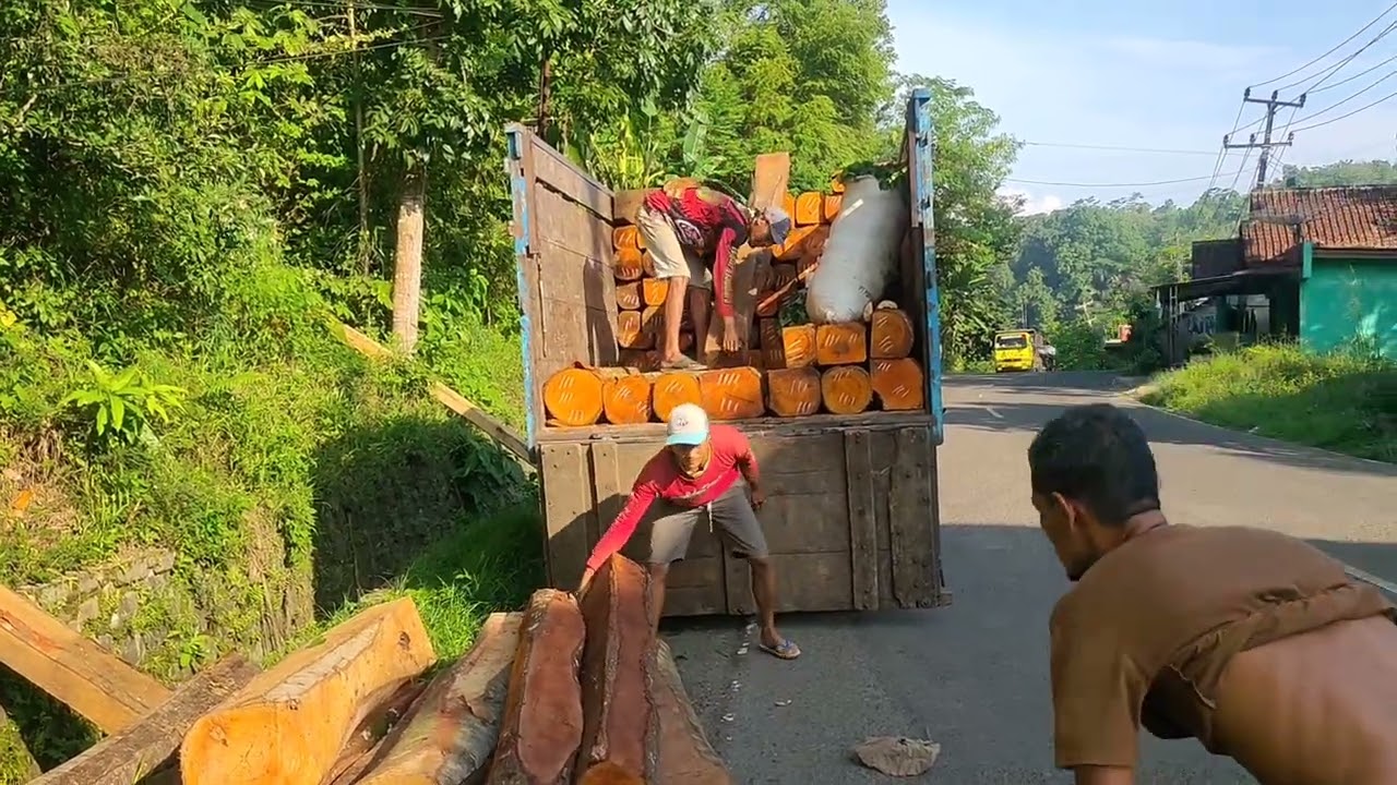 MUAT KAYU MAHUNI 2 METERAN