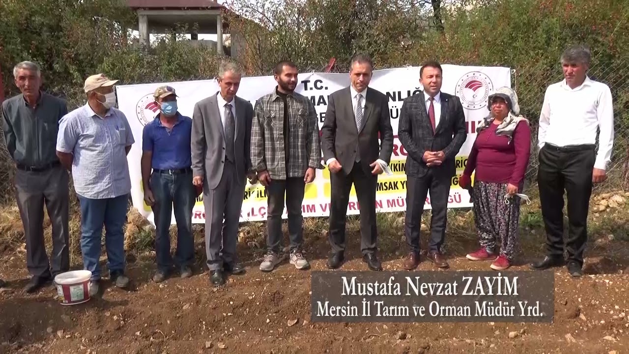 Salep Tohumu Ekimi