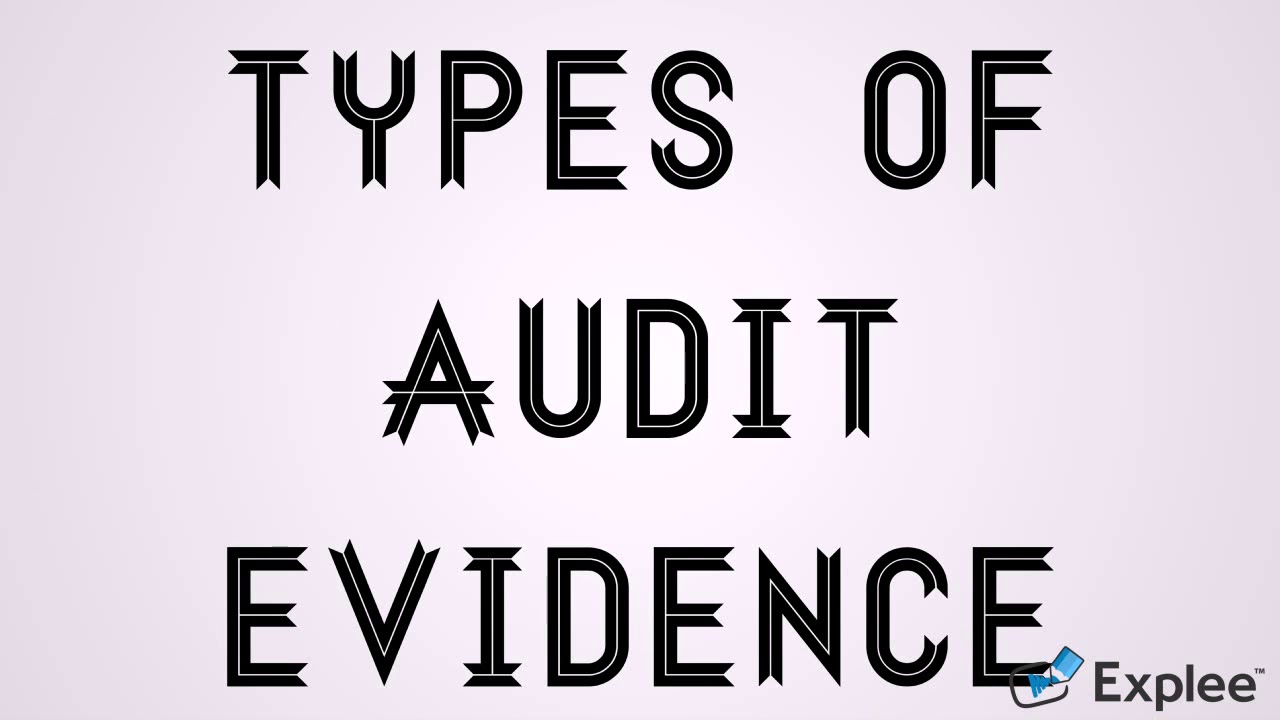 AUDIT PLANNING & FIELDWORK 3