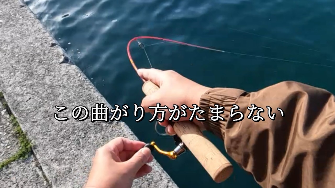 【鱒レンジャーぶち曲がり】低水温でも何かと釣れています。