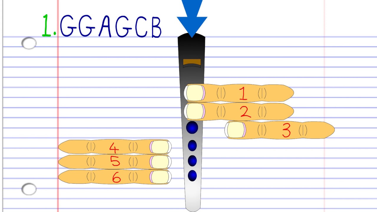 How to Play Happy Birthday on the Tin Whistle
