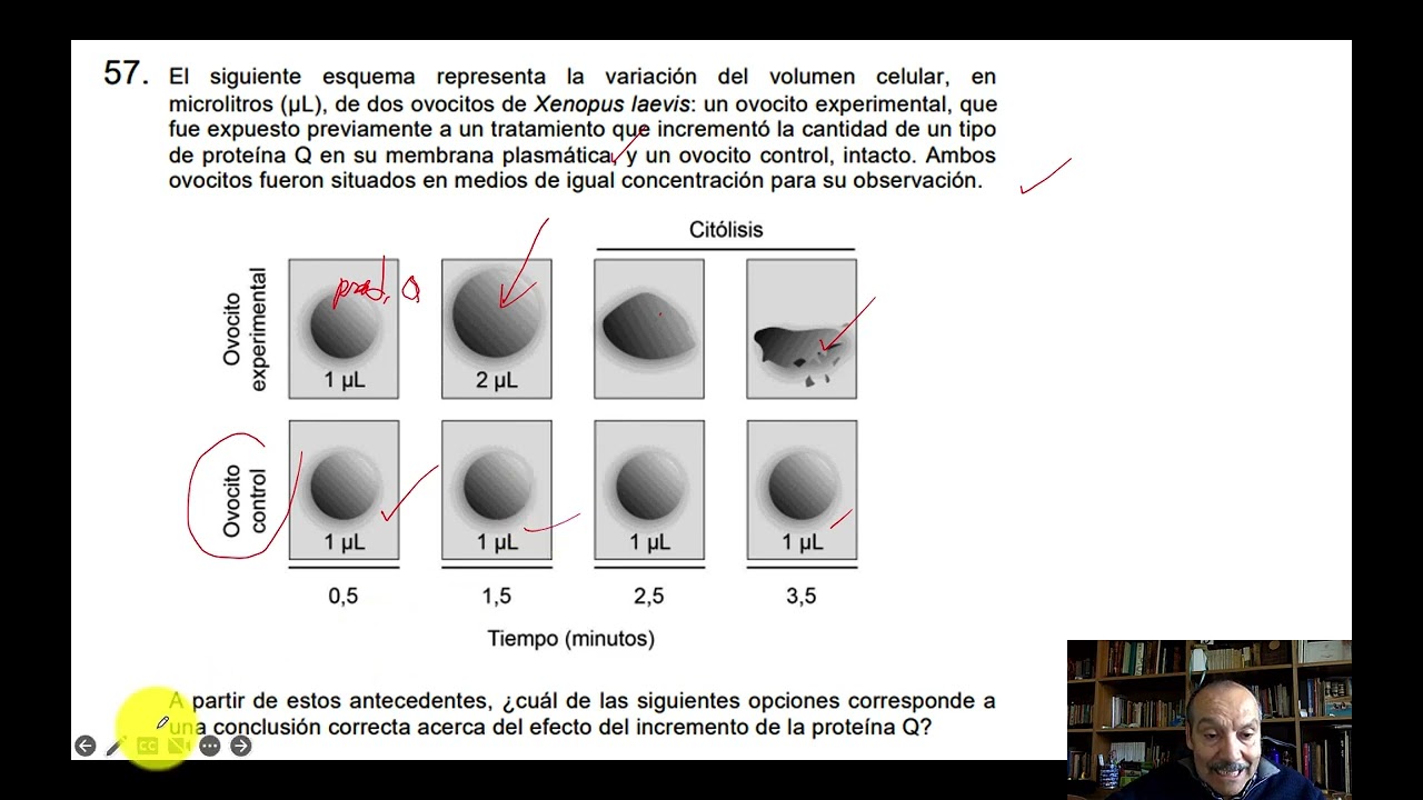 Resolución paes invierno 2024 - Biología electivo