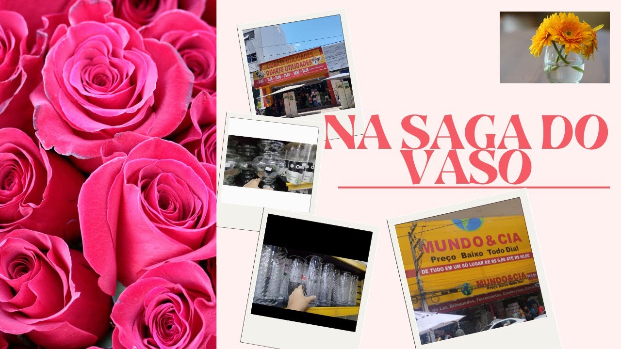 SAINDO PARA IR AS LOJAS DO CENTRO/ NA SAGA DO VASO
