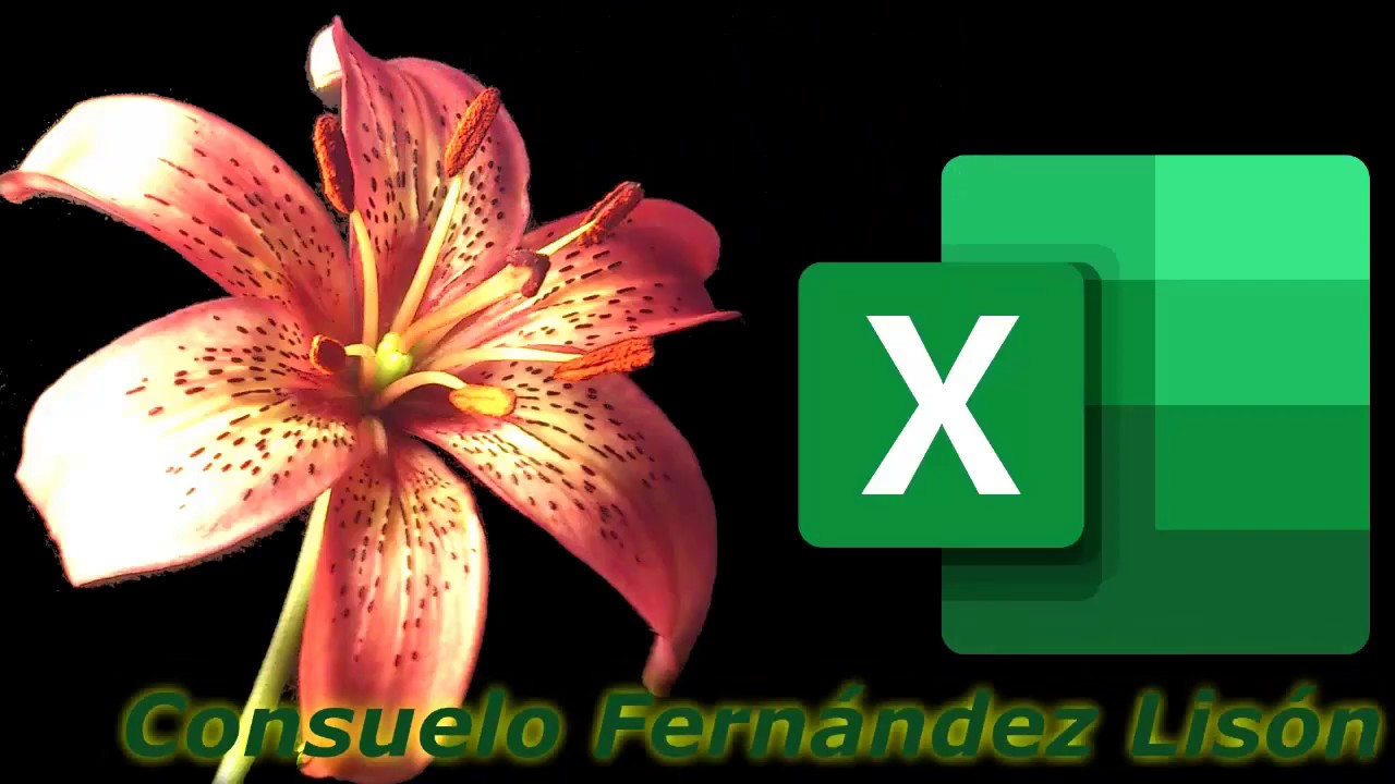 La flor de la semilla 4 ...EXCEL BÁSICO Y ÚLTIMO (4/4)