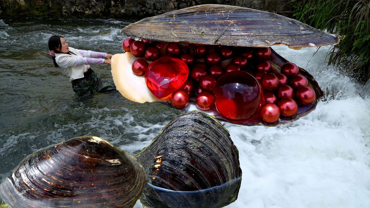 😱🎁Caught giant clams in the rapids, filled with high-quality and gorgeous red pearls, so beautiful