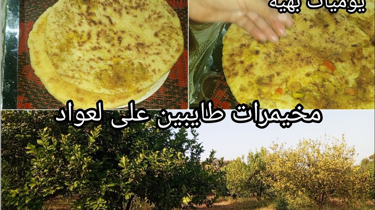 مخيمرات طايبين على العواد وصفه لذيذه وسهله تحضير 👌