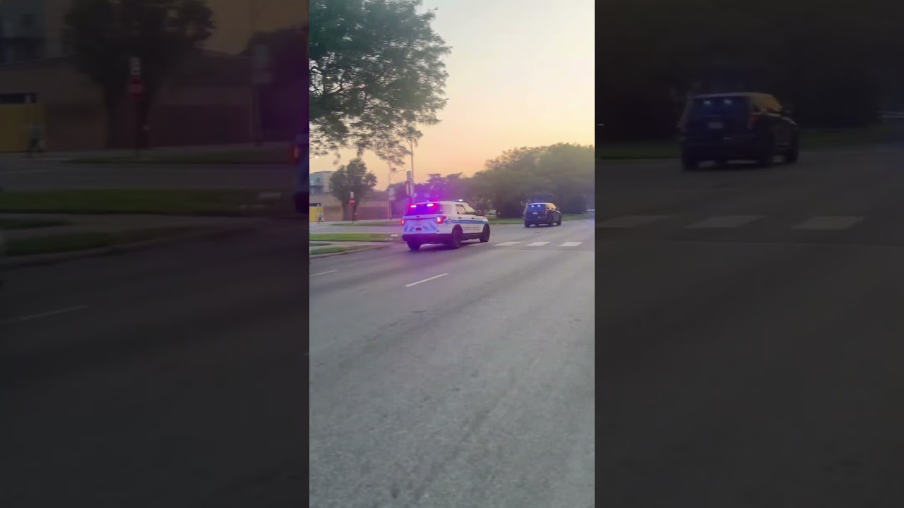 Chicago Police Officers responding to a person with a gun