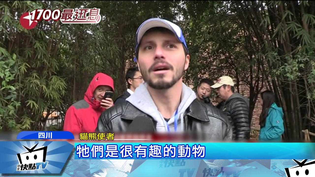 20170326中天新聞　賭氣滿地打滾　貓熊「福順」影片暴紅