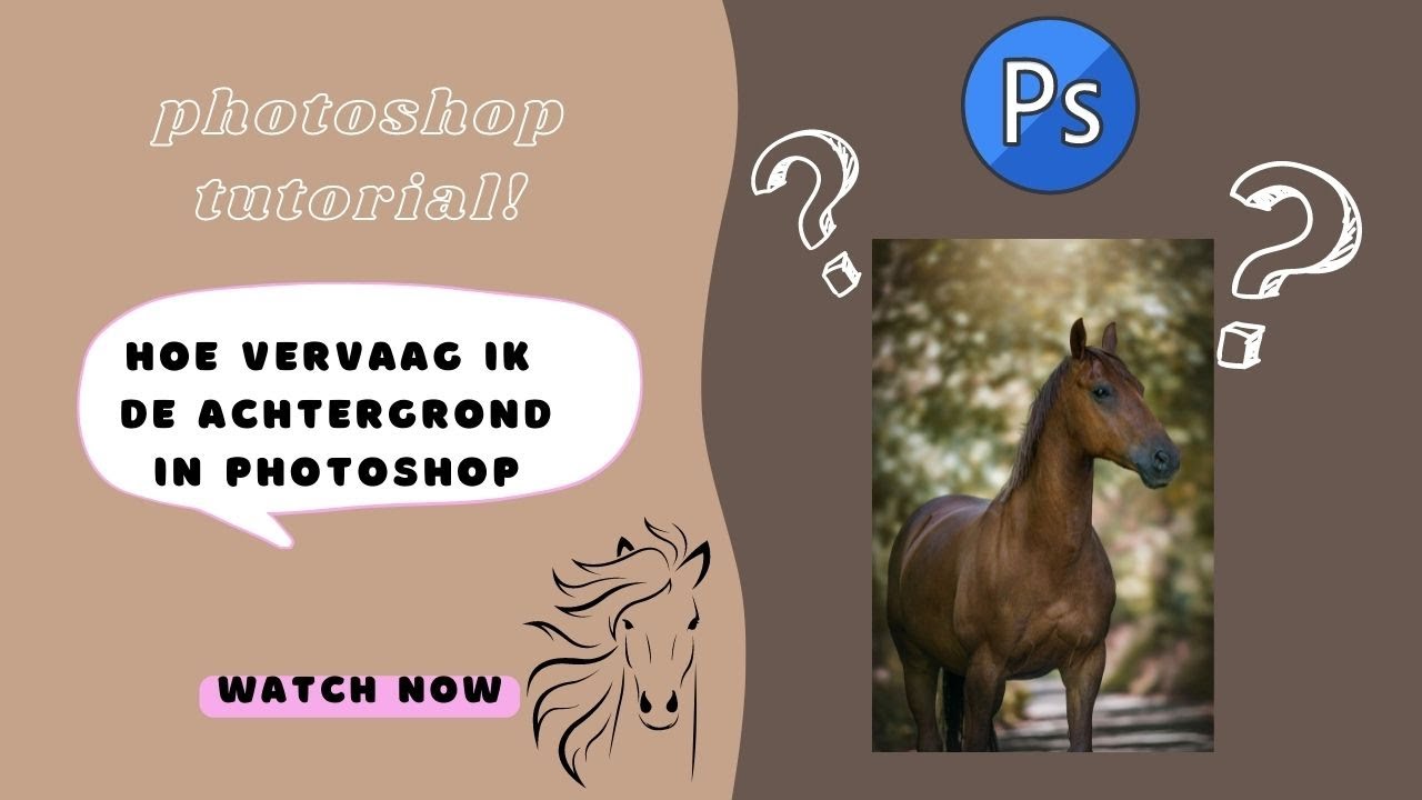 -paardenfotografie- achtergrond vervagen