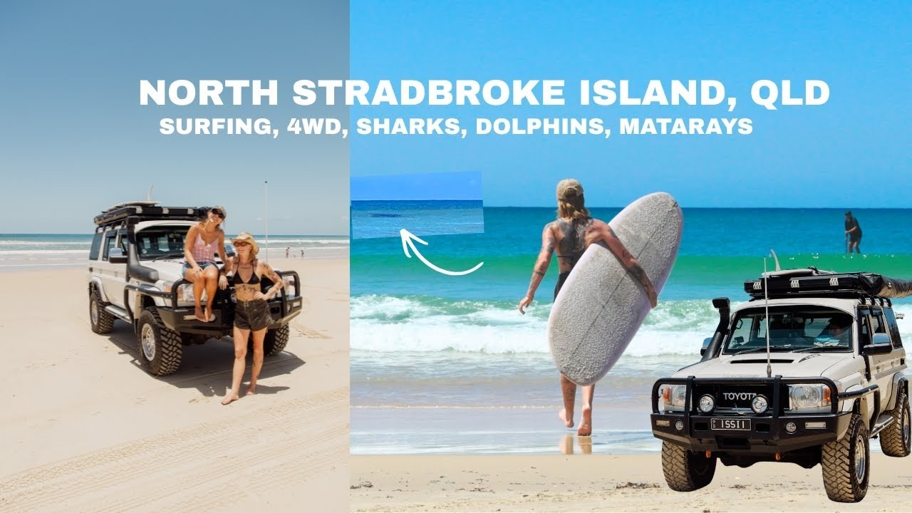 North Stradbroke Island, QLD, Sharks, Dolphins, Turtles, Surfing & 4WD