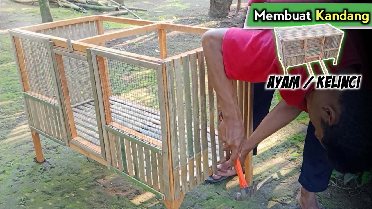 MEMBUAT KANDANG AYAM atau KELINCI | how to make chicken cage