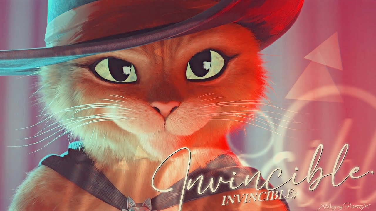 puss in boots | invincible