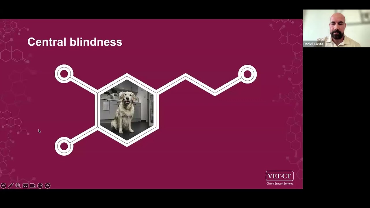 VET.CT Specialist Webinar - Canine Blindness: What are the Causes and Treatments?