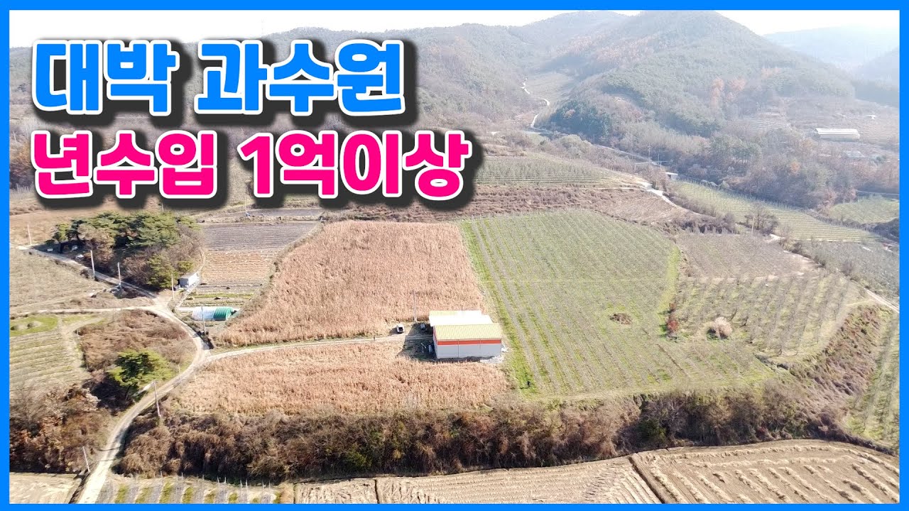 2170 경북 청송군 안덕면 복리, 대박 과수원, 년수입 1억이상