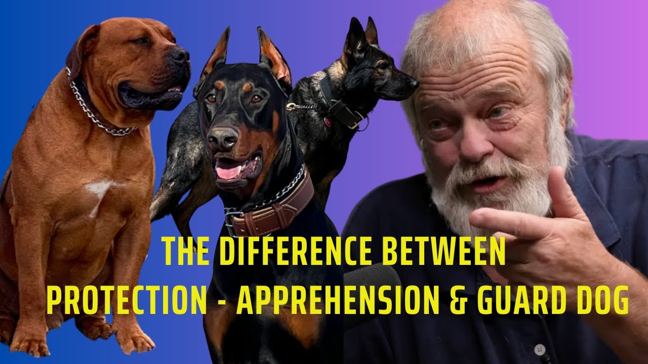 The Difference Between Protection - Apprehension & Guard Dog