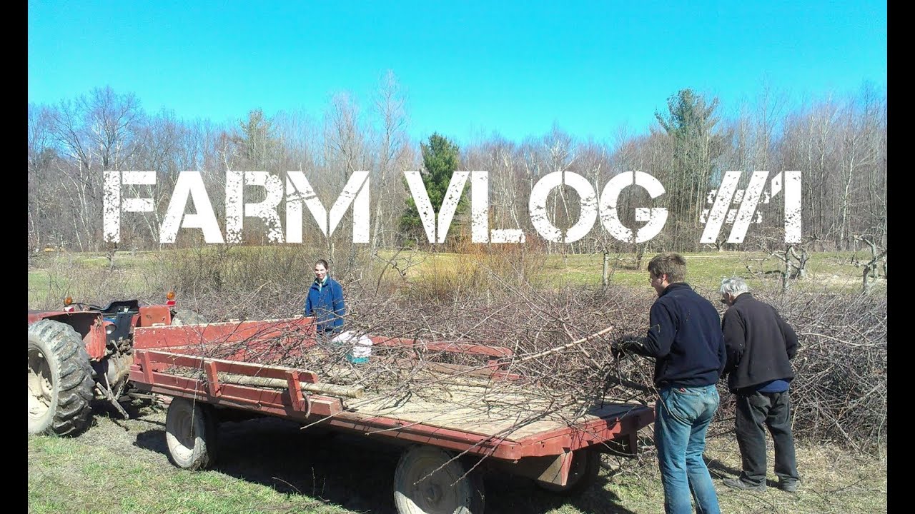 Farm Vlog #1 | Spring Cleanup: Apple orchard, strawberries, high tunnel, tomato plastic