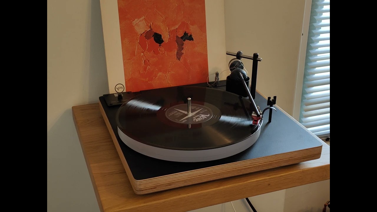 Well Tempered Simplex 2 with Dynavector  10X5mk2 Low Output - Desfinado