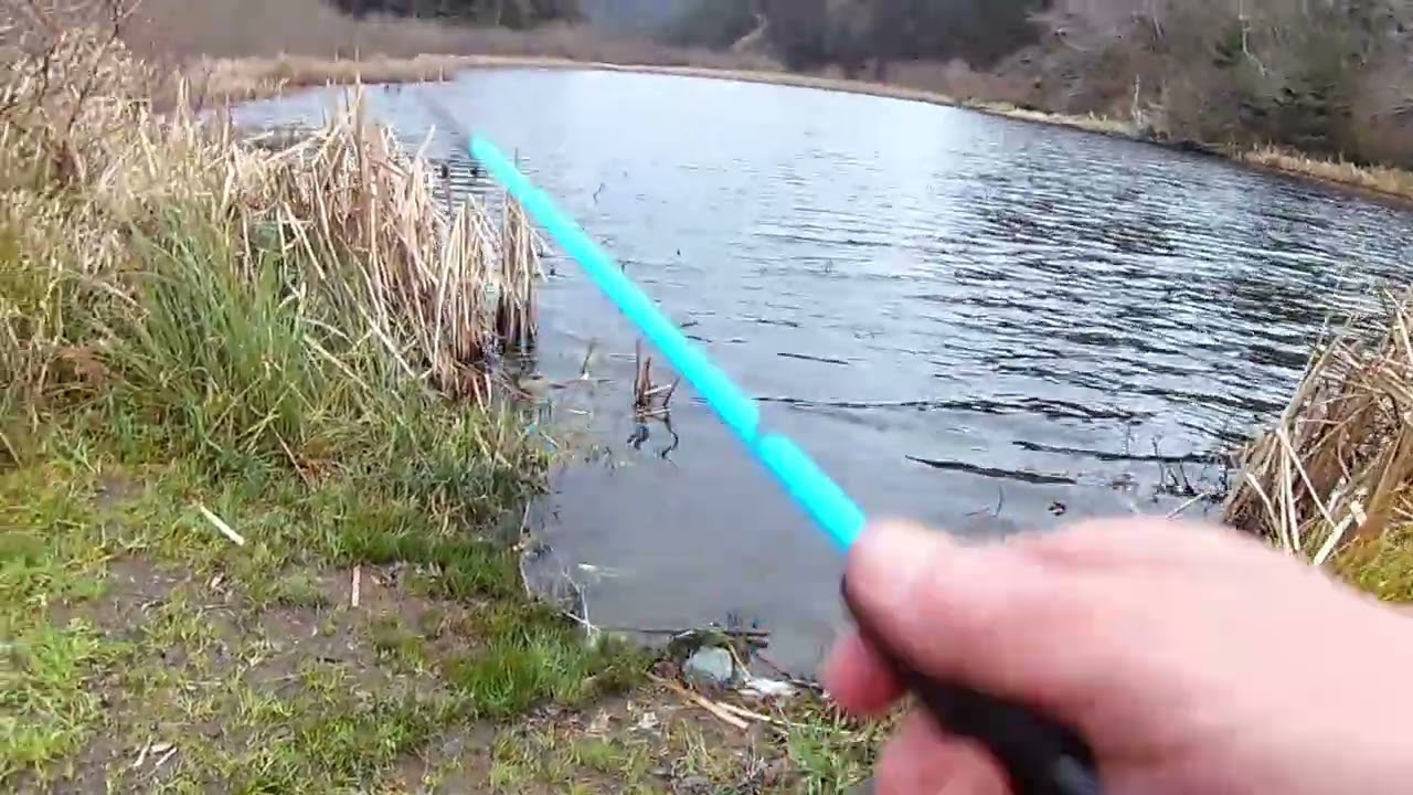 TROUT FISHIN’…Northern California