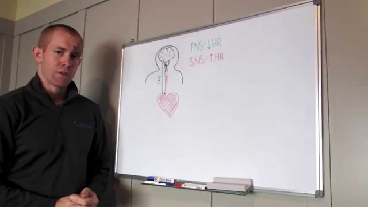 Low and High heart rates during training