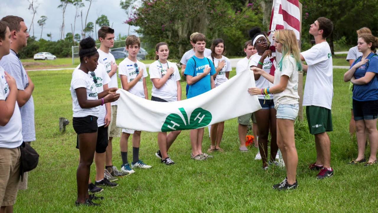 Did You Know - 4H Projects