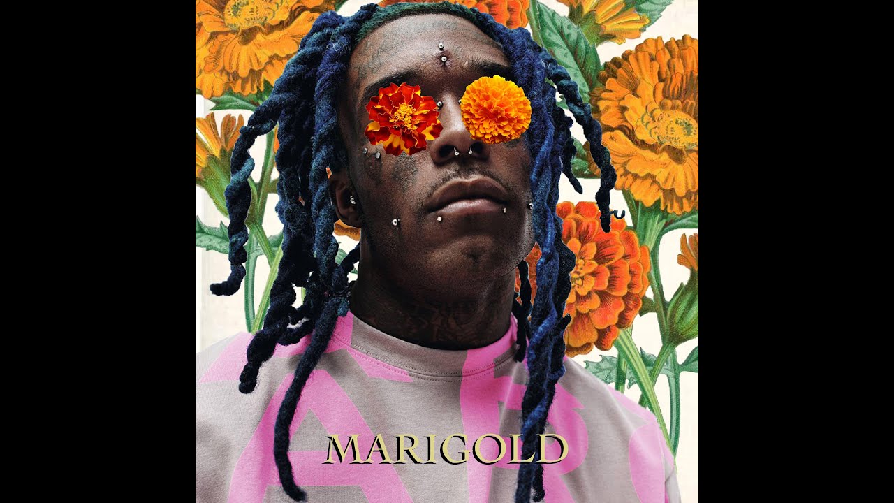 M.I.A. - Marigold (feat. Lil Uzi Vert) [Best Version] [fredo Remix]