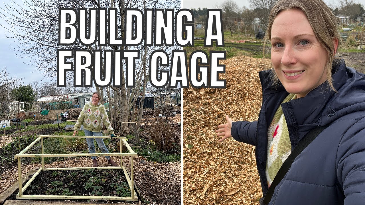 MAKING A FRUIT CAGE / ALLOTMENT GARDENING UK