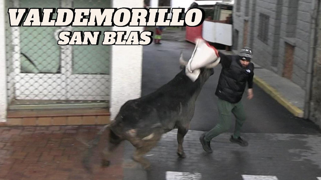 VALDEMORILLO • San Blas • Domingo