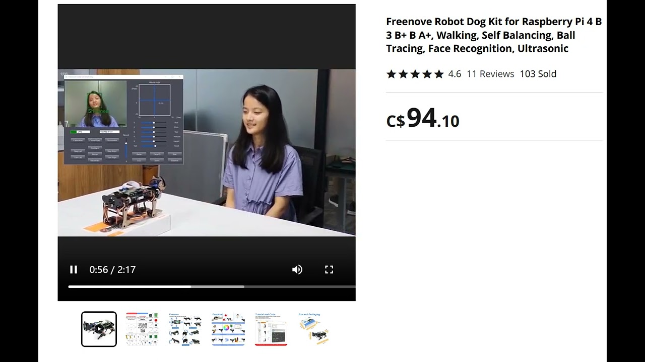 Robot dog