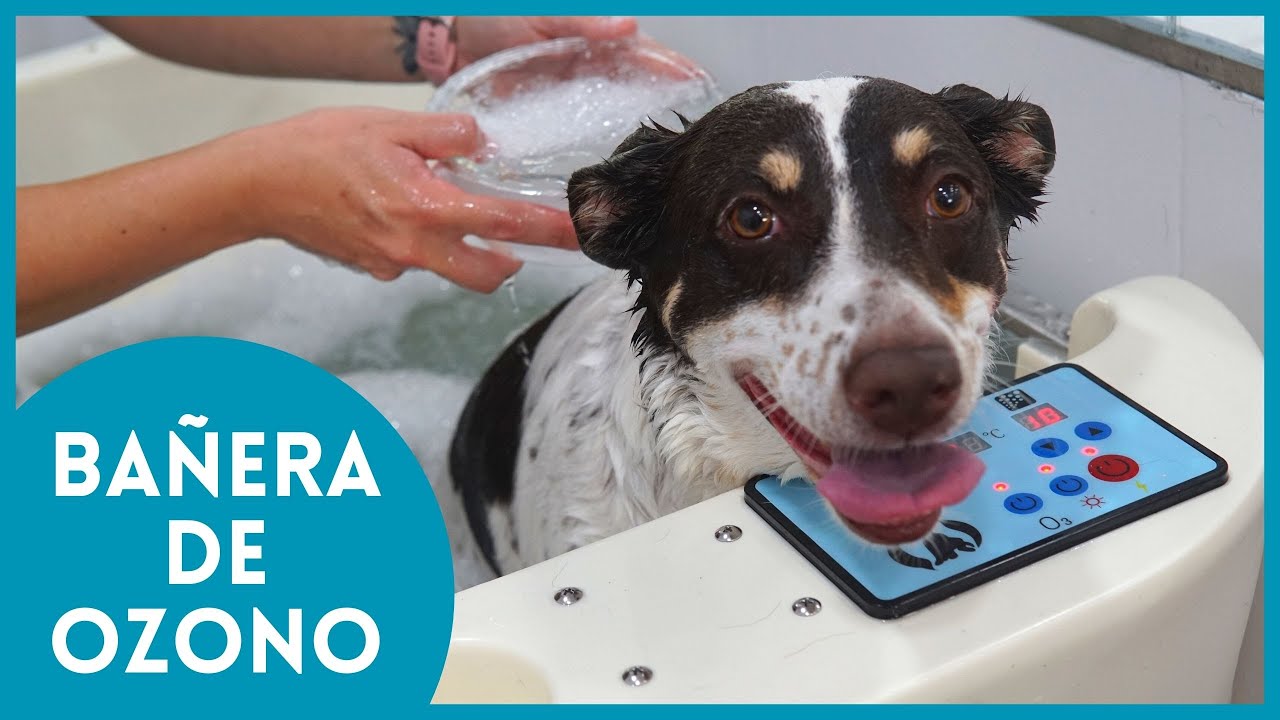 ℹ️ ¿CONOCES LOS BENEFICIOS DE LA BAÑERA DE OZONO? 🛁🚿