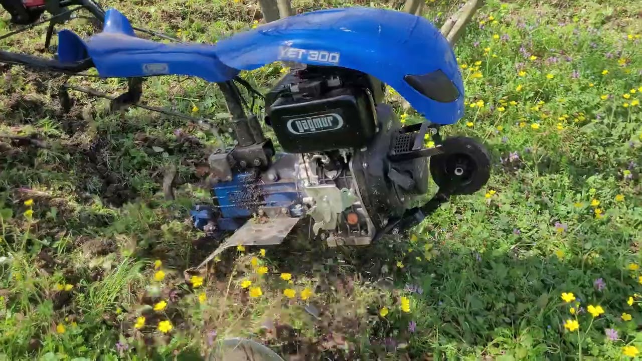 Fındık bahçesi bahar bakım ve besleme gübre atıyoruz yağmur ( patpat ) motoru ile çapa yapıyoruz