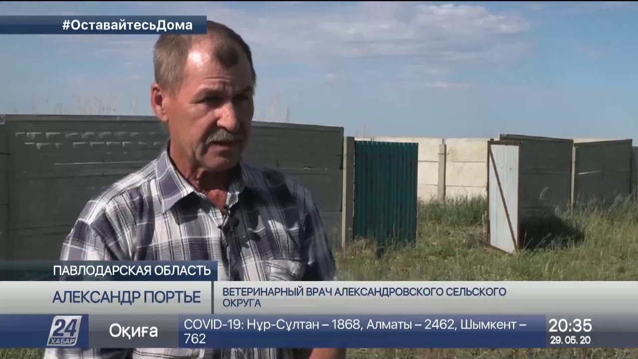 На халатное отношение к скотомогильникам жалуются павлодарские животноводы