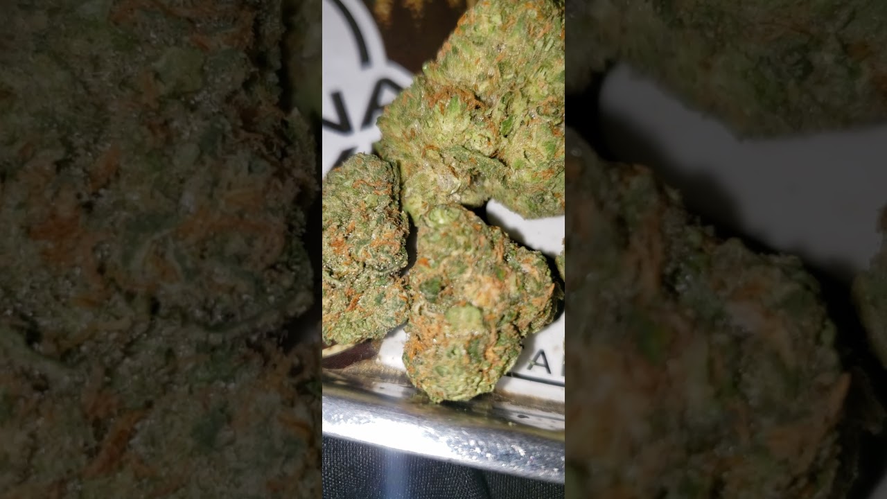 Helium Cookies Strain